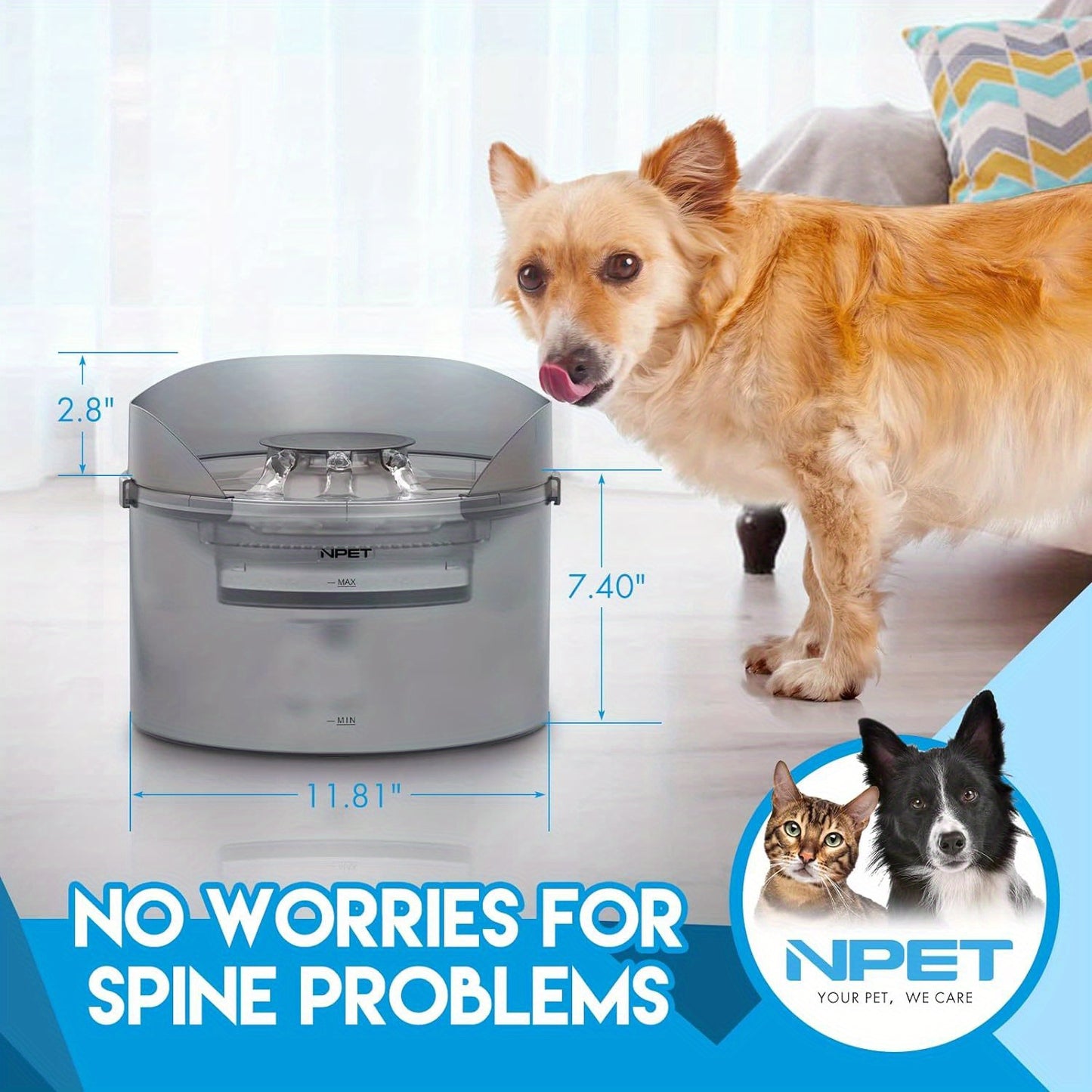 NPET DF30 Dog Water Fountain, 2 Gallon/270oz/8L Large Automatic Dog Water Bowl Dispenser, Pet Water Fountain with Splatter Guard, Cleaning Kit for Large Dogs & Multiple Pets, Without Battery