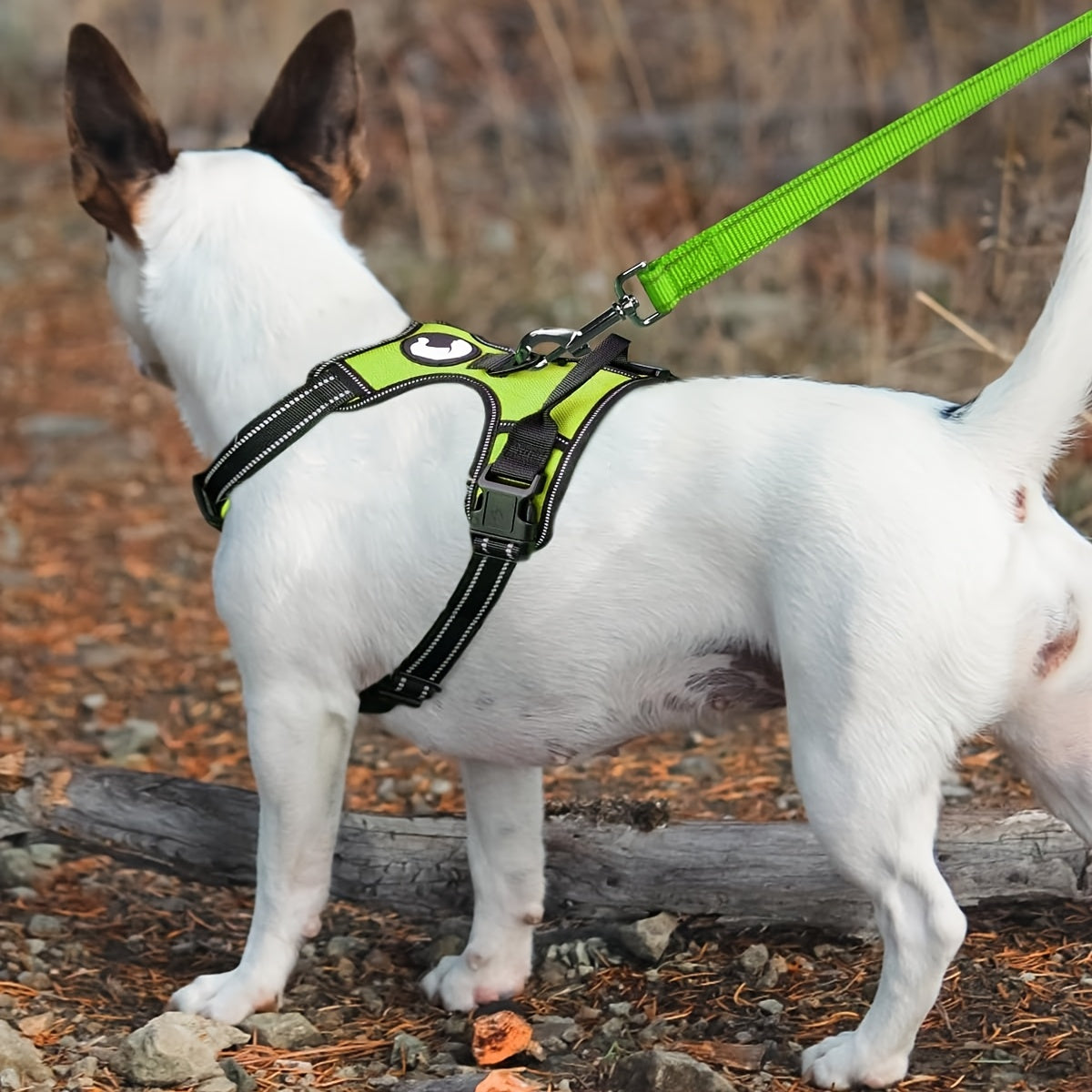 Reflective Dog Leash With Padded Handle, 5 Feet Long And 1 Inch Wide, Suitable For Walking And Training Medium To Large Dogs. Durable And Sturdy, Available In Multiple Color Options, Without Battery