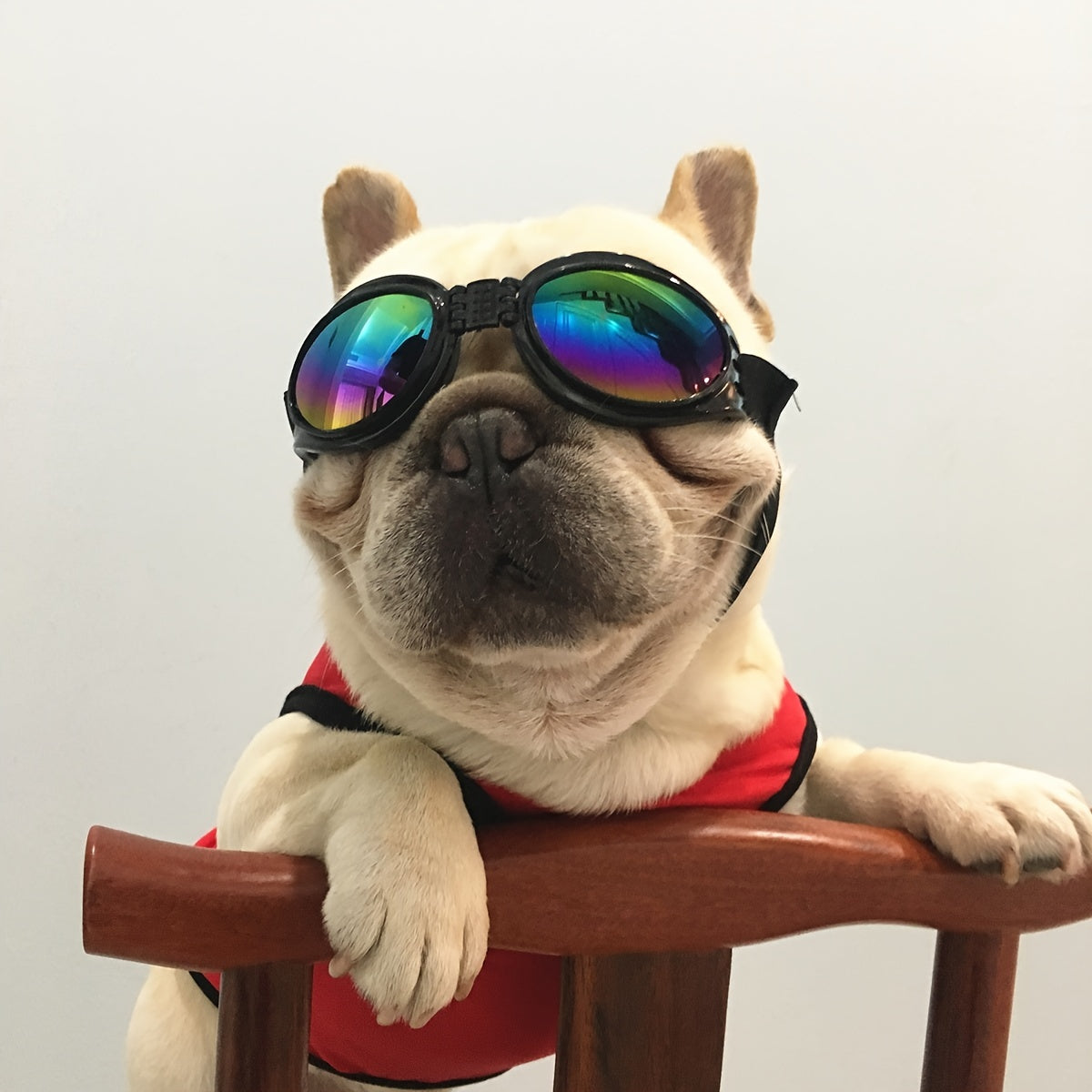 Dog Sunglasses / UV Protection Dog Sunglasses with Adjustable Head Strap - Keep Your Pet's Eyes Safe and Stylish