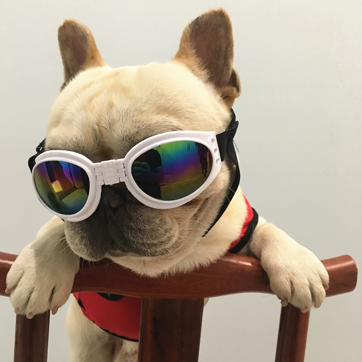 Dog Sunglasses / UV Protection Dog Sunglasses with Adjustable Head Strap - Keep Your Pet's Eyes Safe and Stylish
